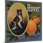 Rover Brand - Tustin, California - Citrus Crate Label-Lantern Press-Mounted Art Print