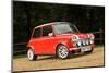 Rover Mini Cooper works 1998-Simon Clay-Mounted Photographic Print