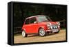 Rover Mini Cooper works 1998-Simon Clay-Framed Stretched Canvas