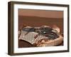 Rover's Landing Site, the Columbia Memorial Station, at Gusev Crater, Mars-Stocktrek Images-Framed Photographic Print