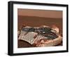 Rover's Landing Site, the Columbia Memorial Station, at Gusev Crater, Mars-Stocktrek Images-Framed Photographic Print