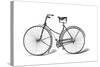 Rover Safety Bicycle, C1885-null-Stretched Canvas