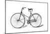 Rover Safety Bicycle, C1885-null-Mounted Giclee Print