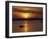 Row Boat Silhouetted over Dragso Bay at Sunset in Summer, at Karlskona, Sweden, Scandinavia, Europe-Thorne Julia-Framed Photographic Print