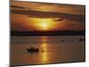 Row Boat Silhouetted over Dragso Bay at Sunset in Summer, at Karlskona, Sweden, Scandinavia, Europe-Thorne Julia-Mounted Photographic Print