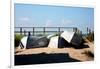 Row Boats Ocean Beach Fire Island NY-null-Framed Photo