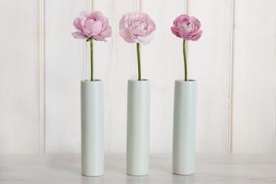 https://imgc.allpostersimages.com/img/posters/row-of-3-pink-flowers-in-blue-vases_u-L-Q1HVDBZ0.jpg?artPerspective=n