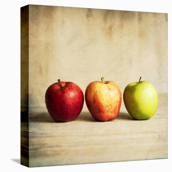 Row Of Antique Fruit-Tom Quartermaine-Stretched Canvas