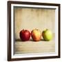 Row Of Antique Fruit-Tom Quartermaine-Framed Giclee Print