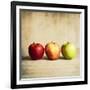 Row Of Antique Fruit-Tom Quartermaine-Framed Giclee Print