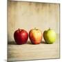 Row Of Antique Fruit-Tom Quartermaine-Mounted Giclee Print