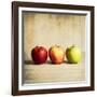 Row Of Antique Fruit-Tom Quartermaine-Framed Premium Giclee Print