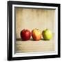 Row Of Antique Fruit-Tom Quartermaine-Framed Premium Giclee Print