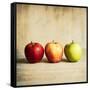 Row Of Antique Fruit-Tom Quartermaine-Framed Stretched Canvas