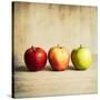 Row Of Antique Fruit-Tom Quartermaine-Stretched Canvas