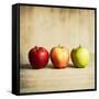 Row Of Antique Fruit-Tom Quartermaine-Framed Stretched Canvas