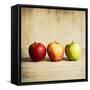 Row Of Antique Fruit-Tom Quartermaine-Framed Stretched Canvas