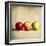 Row Of Antique Fruit-Tom Quartermaine-Framed Giclee Print