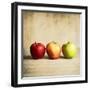 Row Of Antique Fruit-Tom Quartermaine-Framed Giclee Print