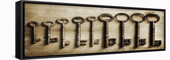 Row Of Antique Keys-Tom Quartermaine-Framed Stretched Canvas