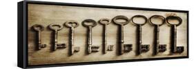 Row Of Antique Keys-Tom Quartermaine-Framed Stretched Canvas