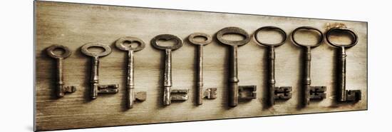 Row Of Antique Keys-Tom Quartermaine-Mounted Giclee Print