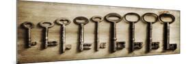 Row Of Antique Keys-Tom Quartermaine-Mounted Giclee Print