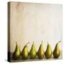 Row Of Antique Pears-Tom Quartermaine-Stretched Canvas