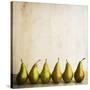 Row Of Antique Pears-Tom Quartermaine-Stretched Canvas