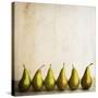 Row Of Antique Pears-Tom Quartermaine-Stretched Canvas