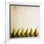 Row Of Antique Pears-Tom Quartermaine-Framed Giclee Print