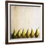 Row Of Antique Pears-Tom Quartermaine-Framed Giclee Print