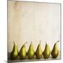 Row Of Antique Pears-Tom Quartermaine-Mounted Giclee Print