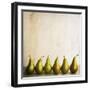 Row Of Antique Pears-Tom Quartermaine-Framed Giclee Print