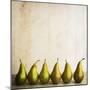 Row Of Antique Pears-Tom Quartermaine-Mounted Giclee Print