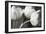 Row Of Bw Tulips-Tom Quartermaine-Framed Giclee Print