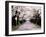 Row of Cherry Trees-null-Framed Premium Photographic Print