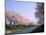 Row of Cherry Trees-null-Mounted Photographic Print