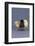 Row of Chicks-DLILLC-Framed Photographic Print