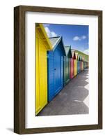 Row of Colourful Beach Huts and their Shadows with Green Hill Backdrop-Eleanor Scriven-Framed Photographic Print