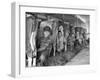 Row of Cows' Rumps, with Fat Cheeked Family of Six Milking Them, in Neat Cow Barn-Alfred Eisenstaedt-Framed Photographic Print