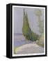 Row of Cypress Trees Edge the Path Near Salo Lake Garda-M. Mccrossan-Framed Stretched Canvas