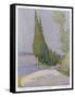 Row of Cypress Trees Edge the Path Near Salo Lake Garda-M. Mccrossan-Framed Stretched Canvas