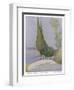 Row of Cypress Trees Edge the Path Near Salo Lake Garda-M. Mccrossan-Framed Art Print