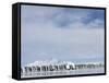 Row of Emperor Penguins in Antarctica-Paul Souders-Framed Stretched Canvas