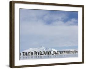 Row of Emperor Penguins in Antarctica-Paul Souders-Framed Photographic Print