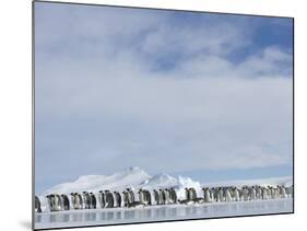 Row of Emperor Penguins in Antarctica-Paul Souders-Mounted Photographic Print