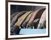 Row of Fire Hoses-null-Framed Photographic Print