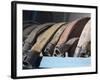 Row of Fire Hoses-null-Framed Photographic Print