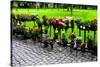 Row of Flowers in Sweden Photo Print Poster-null-Stretched Canvas